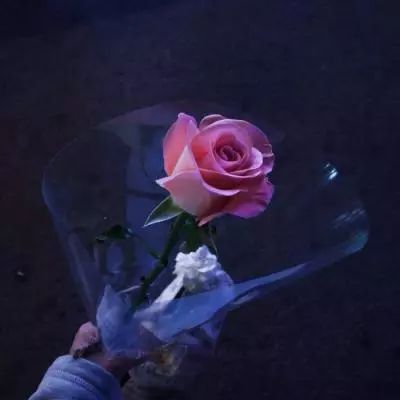 雷泽体育官方入口